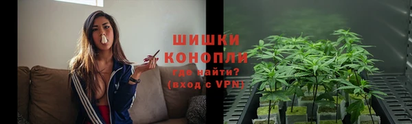 стаф Дубна