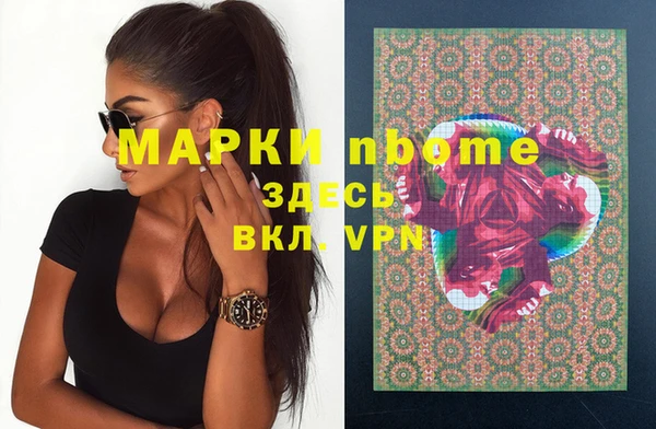 стаф Дубна