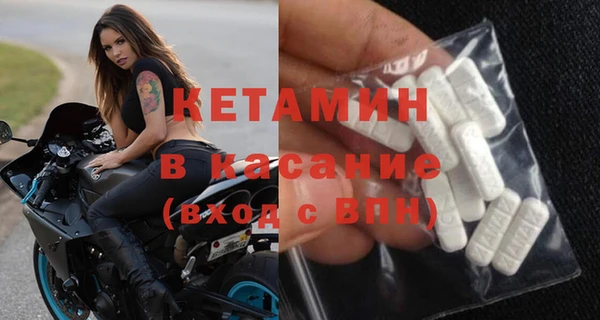 прущие грибы Бердск